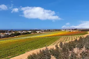 2541 Delphinium Ln, Carlsbad, CA 92008 - Photo 22