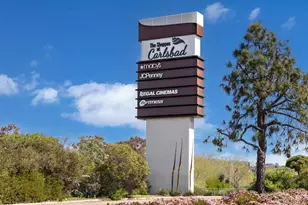 2541 Delphinium Ln, Carlsbad, CA 92008 - Photo 32