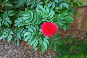 13637 Calais Dr, Del Mar, CA 92014 - Photo 8