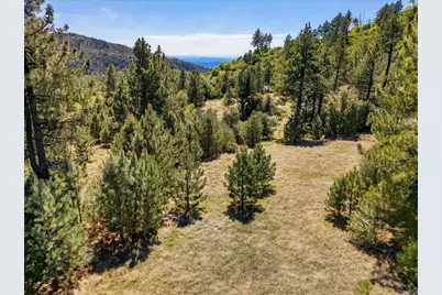 200 +/- Acres Palomar Divide Truck Trail, Palomar Mountain, CA 92060 - Photo 6