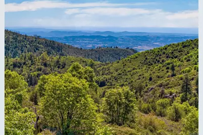 200 +/- Acres Palomar Divide Truck Trail, Palomar Mountain, CA 92060 - Photo 18