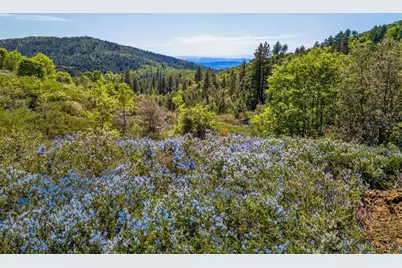200 +/- Acres Palomar Divide Truck Trail, Palomar Mountain, CA 92060 - Photo 1