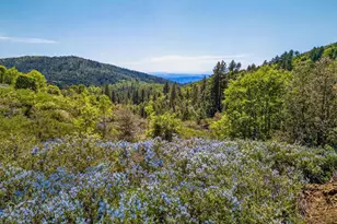 200 +/- Acres Palomar Divide Truck Trail, Palomar Mountain, CA 92060 - Photo 1