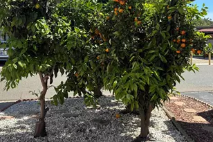 200 N El Camino Real, Oceanside, CA 92058 - Photo 12