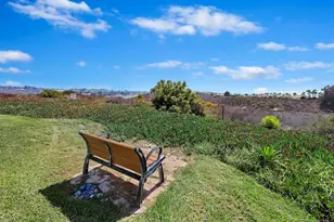 819 Daphne Ct, Carlsbad, CA 92011 - Photo 58