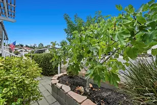 650 S Rancho Santa Fe, San Marcos, CA 92078 - Photo 36