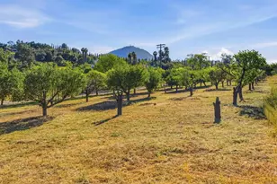 18131 Traylor Rd, Ramona, CA 92065 - Photo 50