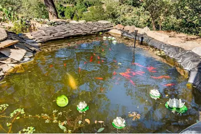 31907 Calle El Potrero, Pauma Valley, CA 92061 - Photo 50