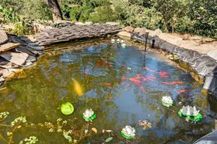 31907 Calle El Potrero, Pauma Valley, CA 92061 - Photo 50