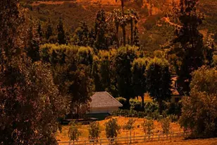 7063 Via Mariposa Norte, Bonsall, CA 92003 - Photo 28