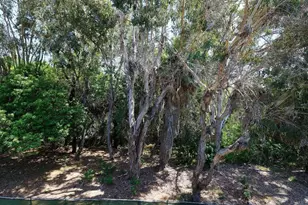 2412 Altisma Way, Carlsbad, CA 92009 - Photo 40