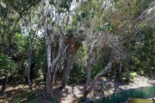 2412 Altisma Way, Carlsbad, CA 92009 - Photo 24
