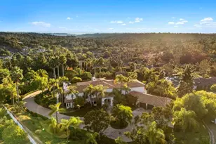 3226 Violet, Encinitas, CA 92024 - Photo 48