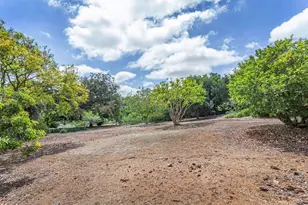 5770 El Montevideo + Via De Fortuna Lot, Rancho Santa Fe, CA 92067 - Photo 48