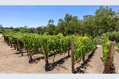 5293 La Glorieta, Rancho Santa Fe, CA 92067 - Photo 20