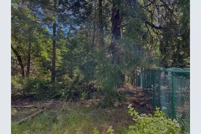 0 .29 / Crestline Road, Palomar Mountain, CA 92060 - Photo 10