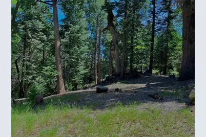 0 .29 / Crestline Road, Palomar Mountain, CA 92060 - Photo 12
