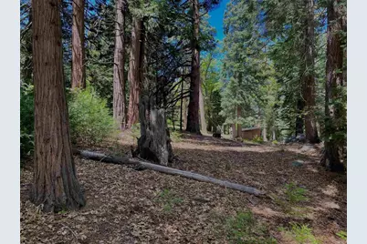 0 .29 / Crestline Road, Palomar Mountain, CA 92060 - Photo 16