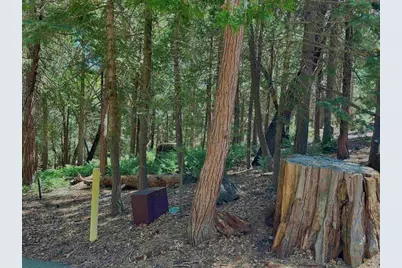 0 .29 / Crestline Road, Palomar Mountain, CA 92060 - Photo 18
