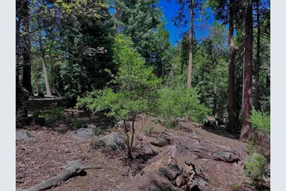 0 .29 / Crestline Road, Palomar Mountain, CA 92060 - Photo 14