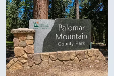 0 .29 / Crestline Road, Palomar Mountain, CA 92060 - Photo 8