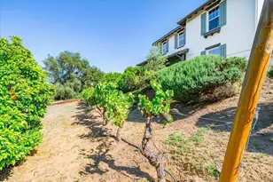 27117 Santolina St, Valley Center, CA 92082 - Photo 64