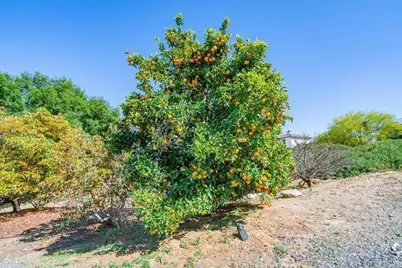27117 Santolina Street, Valley Center, CA 92082 - Photo 62