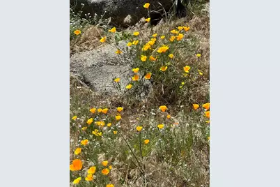 25770 E Grade Road, Santa Ysabel, CA 92070 - Photo 72