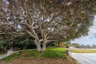 375 W I St, Encinitas, CA 92024 - Photo 38