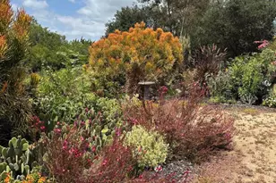 1534 Linda St, Fallbrook, CA 92028 - Photo 8