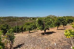 18246 Via Ascenso, Rancho Santa Fe, CA 92091 - Photo 52