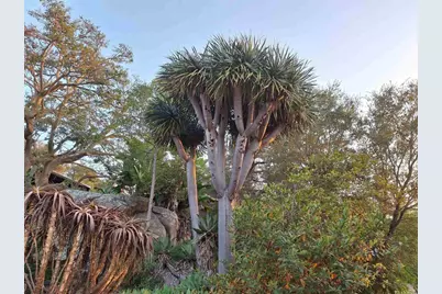 1640 Ojeda Road, Vista, CA 92084 - Photo 4