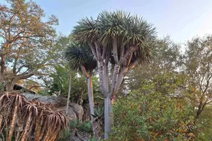 1640 Ojeda Rd, Vista, CA 92084 - Photo 4