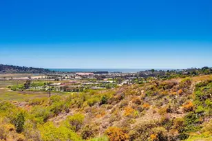3331 Caminito Cabo Viejo, Del Mar, CA 92014 - Photo 52