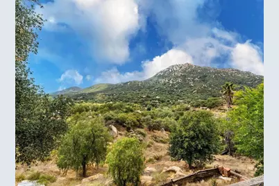 17566 Lyons Valley Road, Jamul, CA 91935 - Photo 32