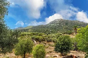 17566 Lyons Valley Rd, Jamul, CA 91935 - Photo 32