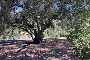 14765 Woods Valley Rd, Valley Center, CA 92082 - Photo 42