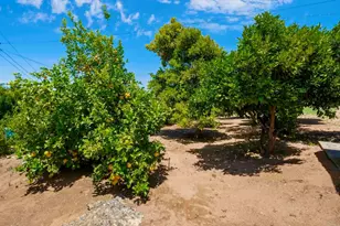 1216 Via Ramon, Escondido, CA 92029 - Photo 28