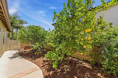 828 Settlers Court, San Marcos, CA 92069 - Photo 28