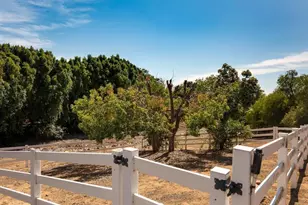 31899 Calle De Talar, Bonsall, CA 92003 - Photo 46