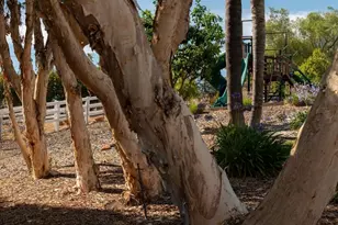 31899 Calle De Talar, Bonsall, CA 92003 - Photo 46