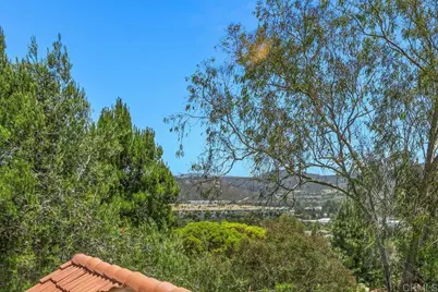 3150 Avenida Topanga, Carlsbad, CA 92009 - Photo 28