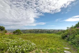 1729 Gascony Rd, Encinitas, CA 92024 - Photo 28