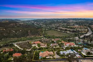 4909 Del Mar Mesa Rd, San Diego, CA 92130 - Photo 24
