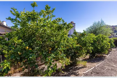 1973 Buckskin, Escondido, CA 92025 - Photo 6
