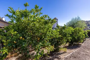 1973 Buckskin, Escondido, CA 92027 - Photo 6