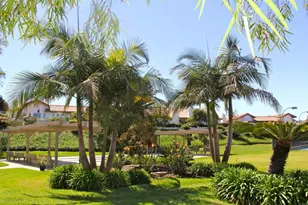 4722 Collinos Way, Oceanside, CA 92056 - Photo 44