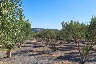 2970 El Coyote Run, Fallbrook, CA 92028 - Photo 28