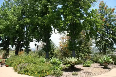 525 W El Norte Parkway #290, Escondido, CA 92026 - Photo 38