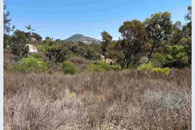 0 Lone Hill Lane, Encinitas, CA 92024 - Photo 2
